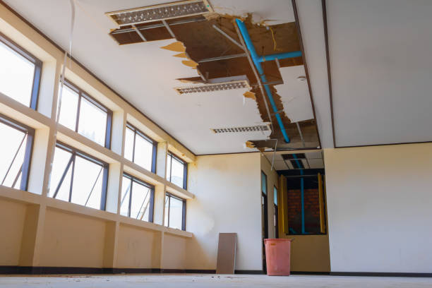 Best Water damage restoration near me  in Monticello, MN