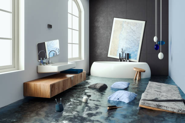 Best Water damage restoration experts  in Monticello, MN
