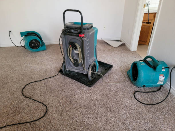 Best Water damage contractors near me  in Monticello, MN