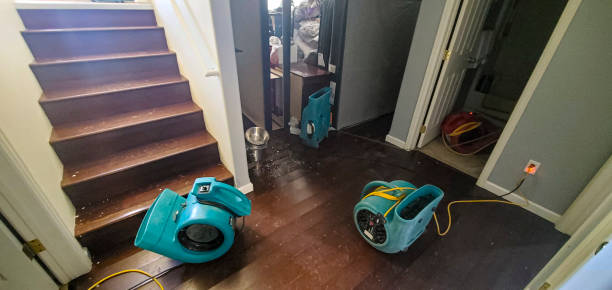 Water damage restoration mold remediation in Monticello, MN