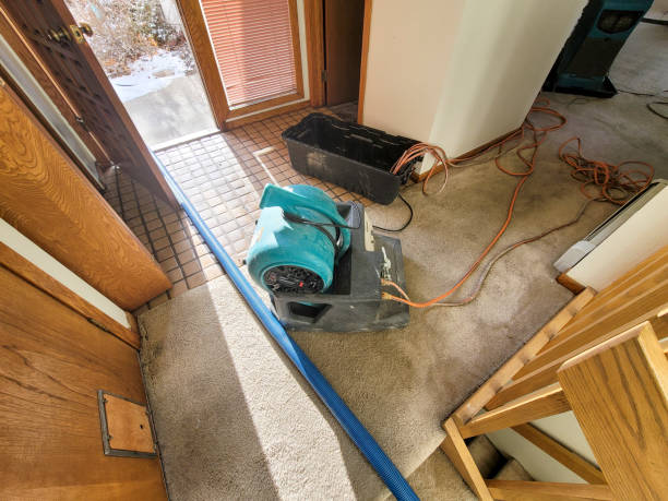 Water damage restoration insurance claims in Monticello, MN