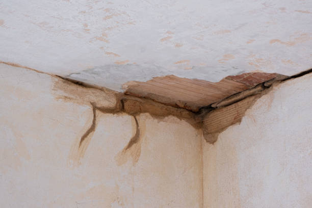 Best Local water damage restoration  in Monticello, MN