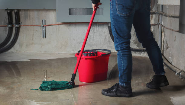 Best Fire Damage Restoration  in Monticello, MN