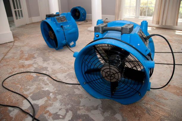Best 24/7 water damage repair  in Monticello, MN