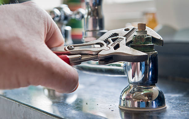 Best Mold removal after water damage  in Monticello, MN