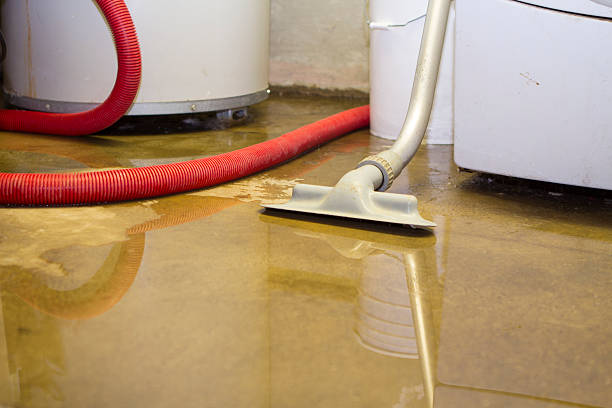 Best Residential water damage restoration  in Monticello, MN