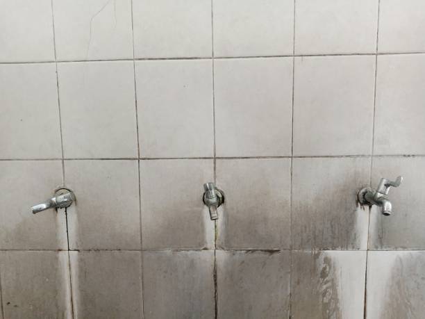 Best Mold removal after water damage  in Monticello, MN