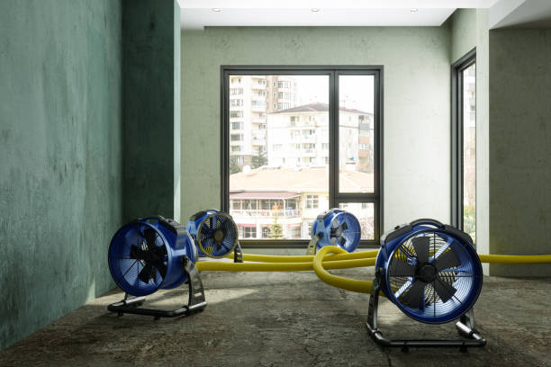 Best Basement water damage restoration  in Monticello, MN